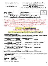 Đề thi chọn học sinh giỏi văn hoá môn Tiếng Anh Lớp 11 - Năm học 2016-2017